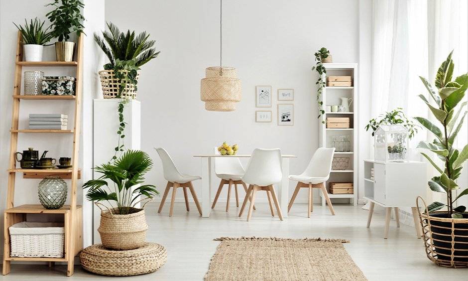 Scandinavian